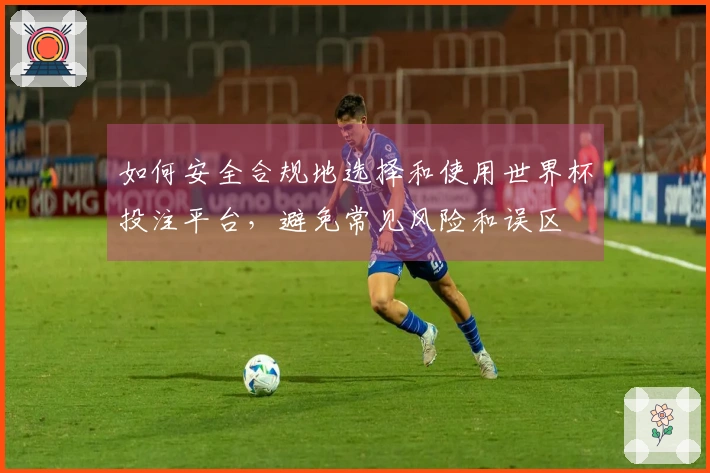 如何安全合规地选择和使用世界杯投注平台，避免常见风险和误区