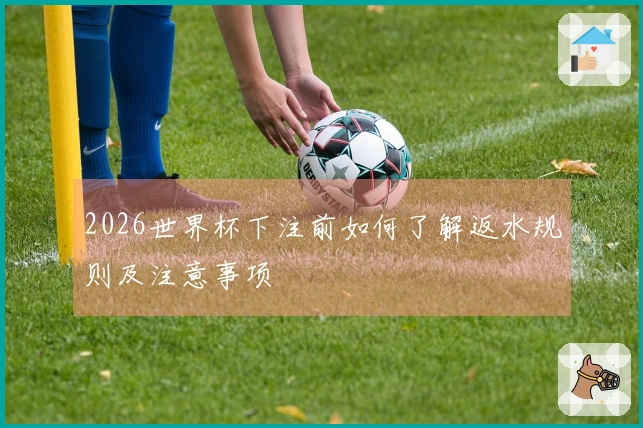 2026世界杯下注前如何了解返水规则及注意事项