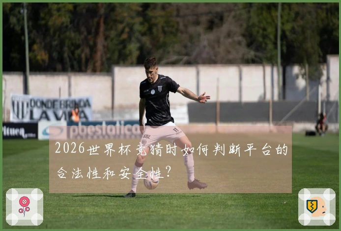 2026世界杯竞猜时如何判断平台的合法性和安全性？