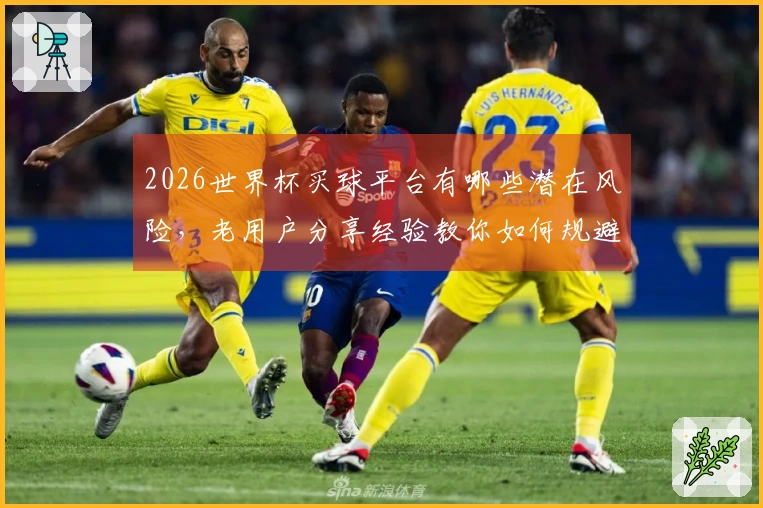 2026世界杯买球平台有哪些潜在风险，老用户分享经验教你如何规避？