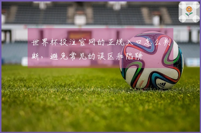 世界杯投注官网的正规入口怎么判断，避免常见的误区和陷阱